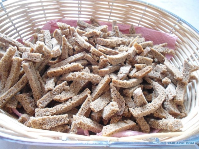 Пятничные посиделки на теплотрассе ©