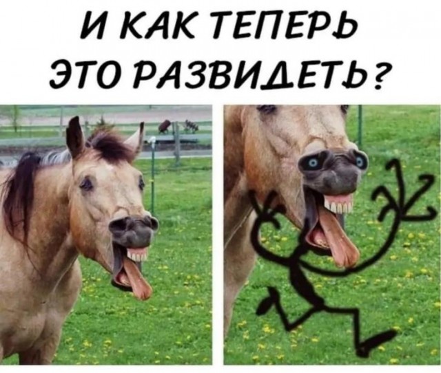 Картинки на пятницу 19.11.21