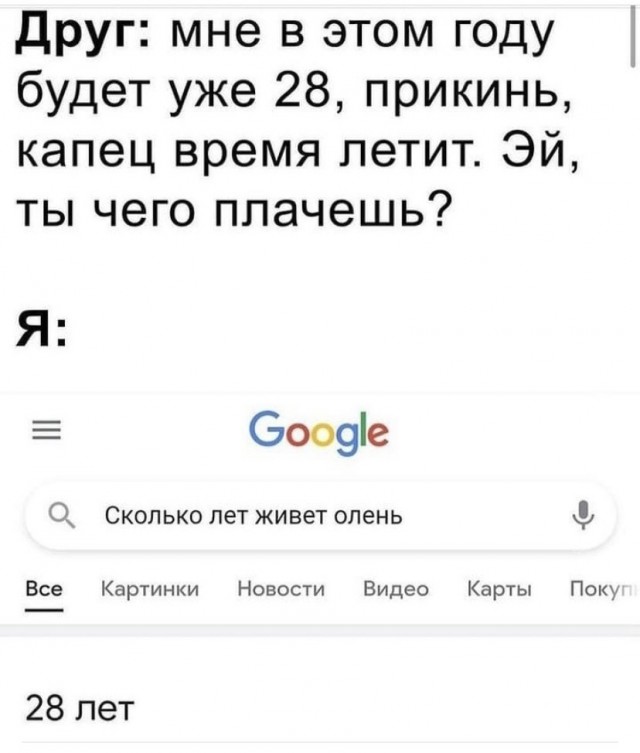 Чуток картинок 22.12.21