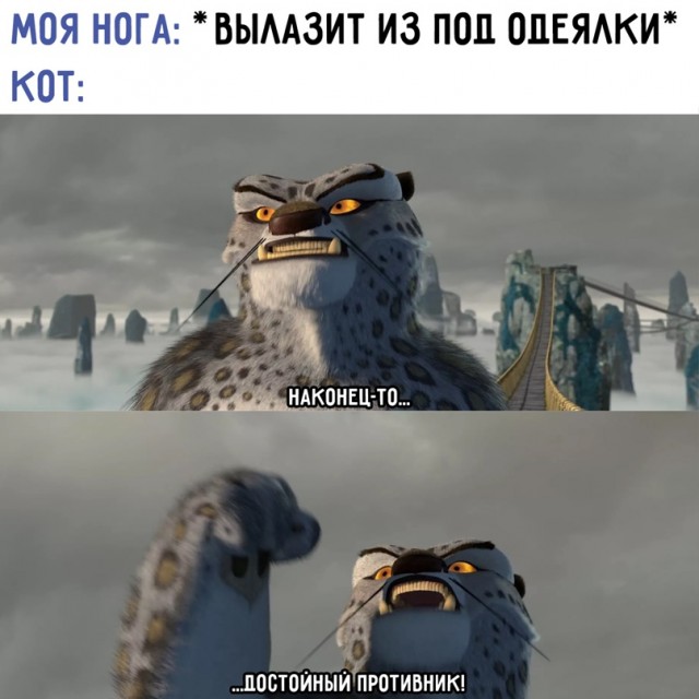 Весёлый полтишок 20.03.22
