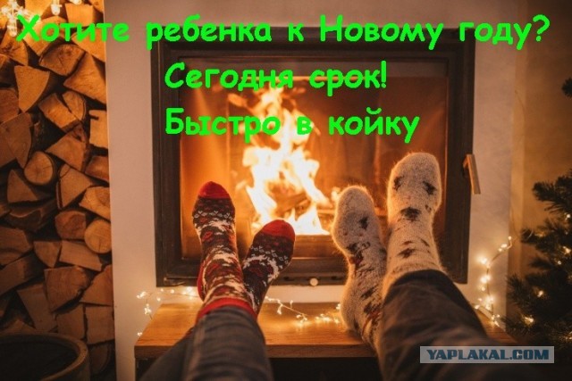Весёлый полтишок 01.04