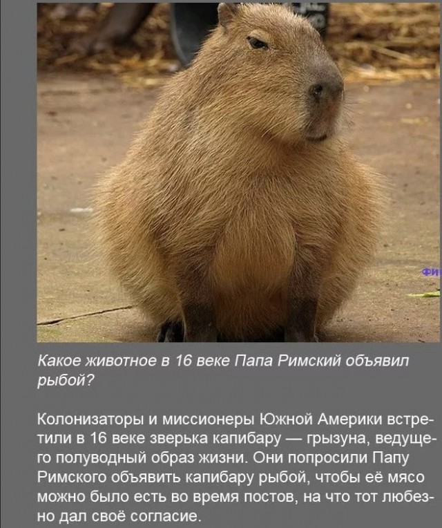 70 удивительных фактов