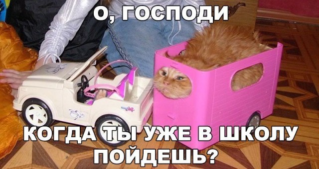 Так себе картинки 10.04.22