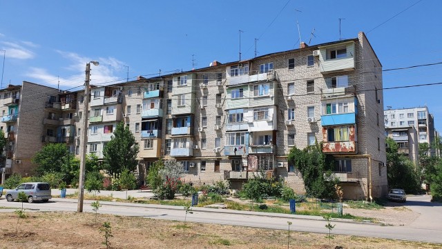 Астрахань – город «мёртвых» собак