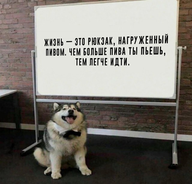 Картинки и мемы. Выходные близко, близко...
