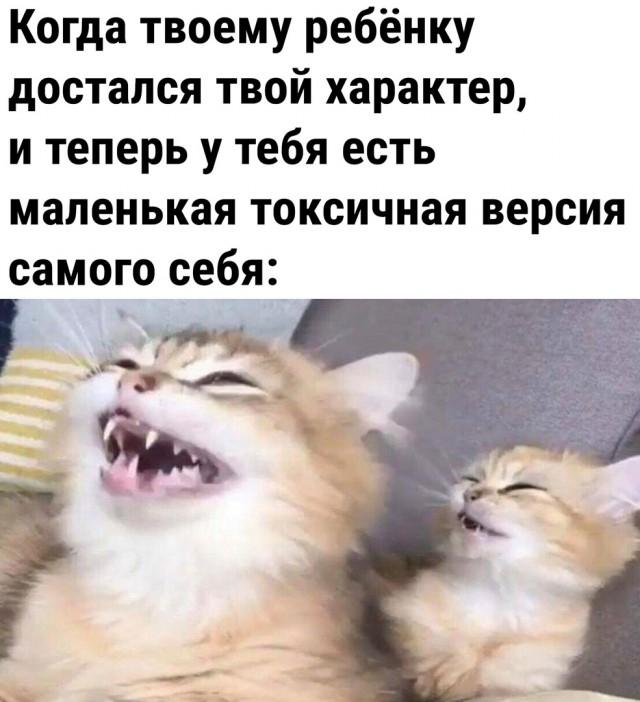 Так себе картинки 30.08.22