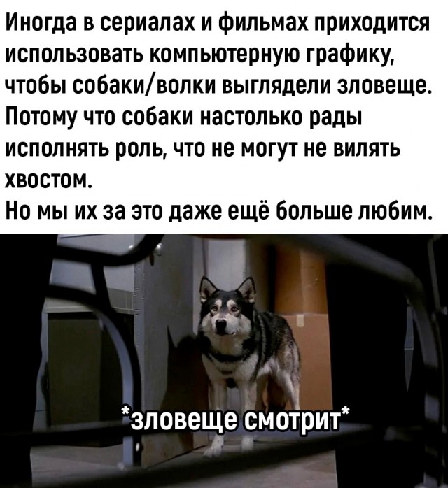 Так себе картинки 21.10.22