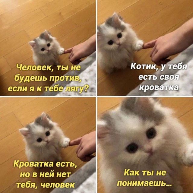 Немного картинок для настроения