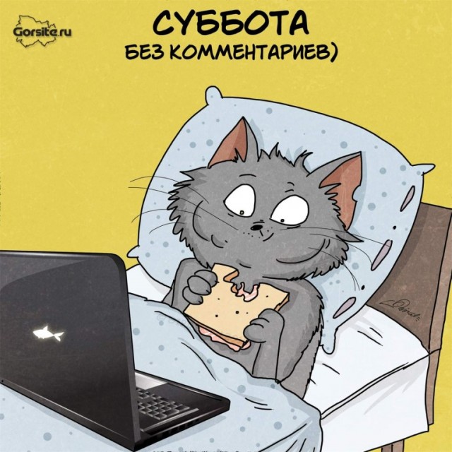 Нуштош 25.02.23