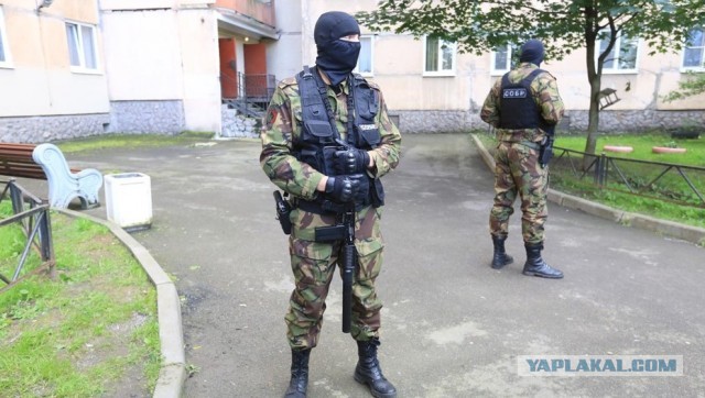 Спецназом аукнулись петербуржцу злые записи в интернете годичной давности