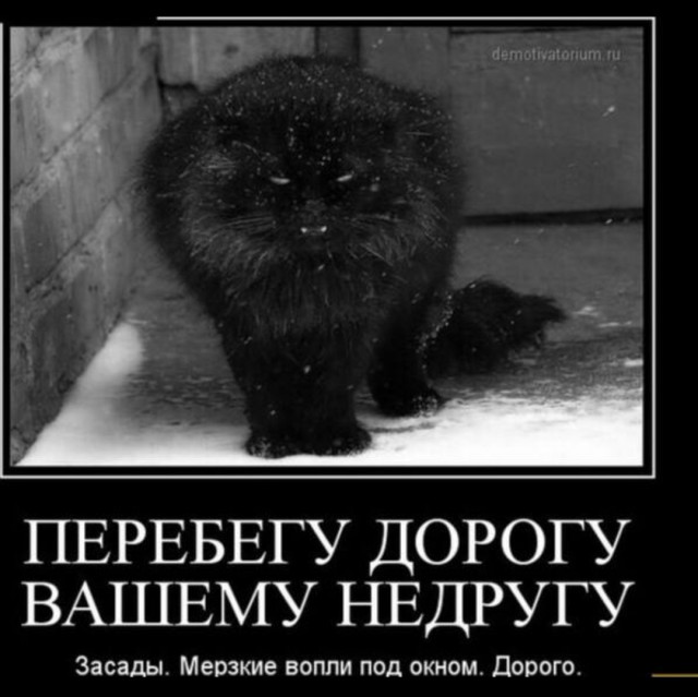 Женился на девственнице и пожалел!