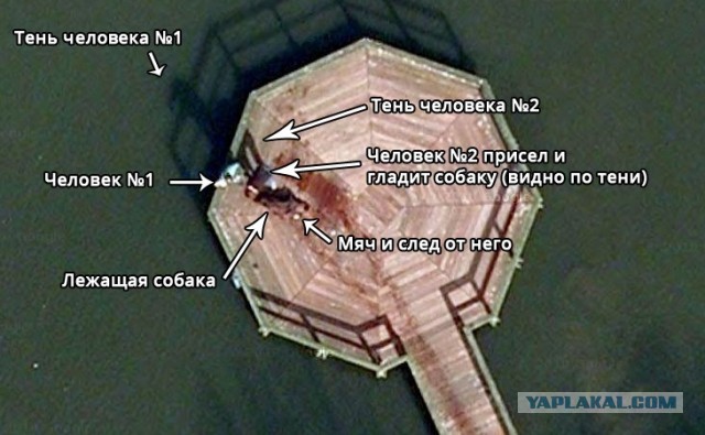 Знаете ли вы, что?..