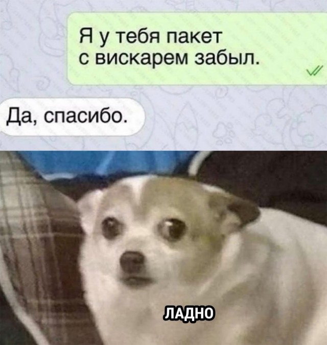 Картинок разной степени еб@нутости пост.