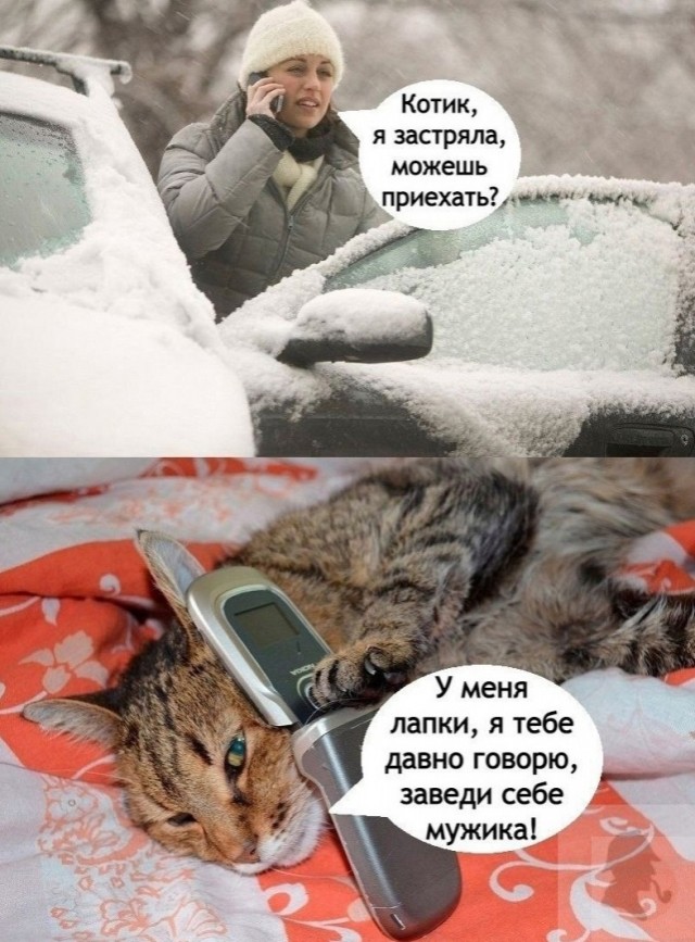 Собакочетверг