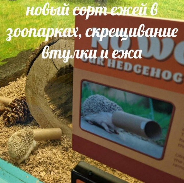 Маленькая пятница.