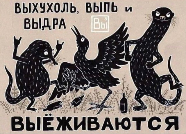 Прикольные и просто красивые картинки 17.05.2024