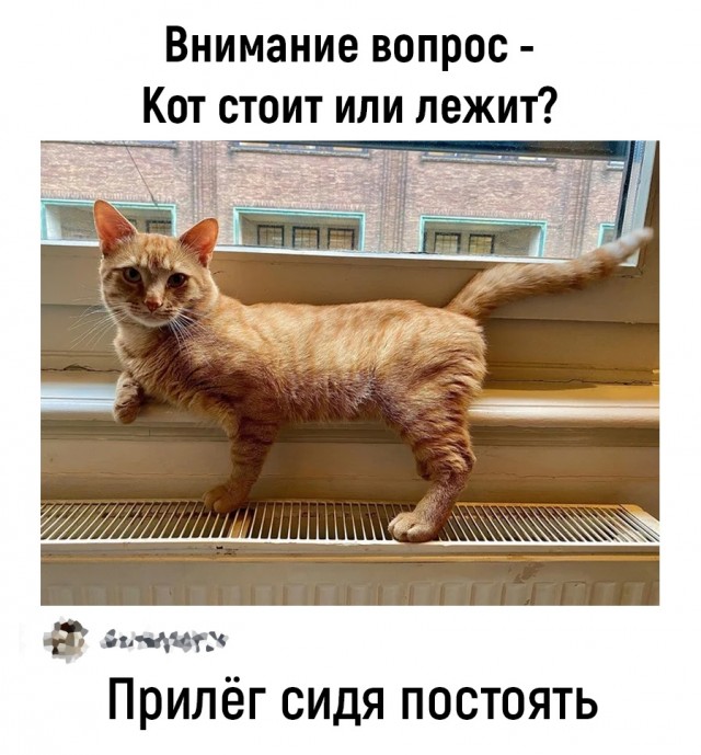 Так себе картинки 19.05.24