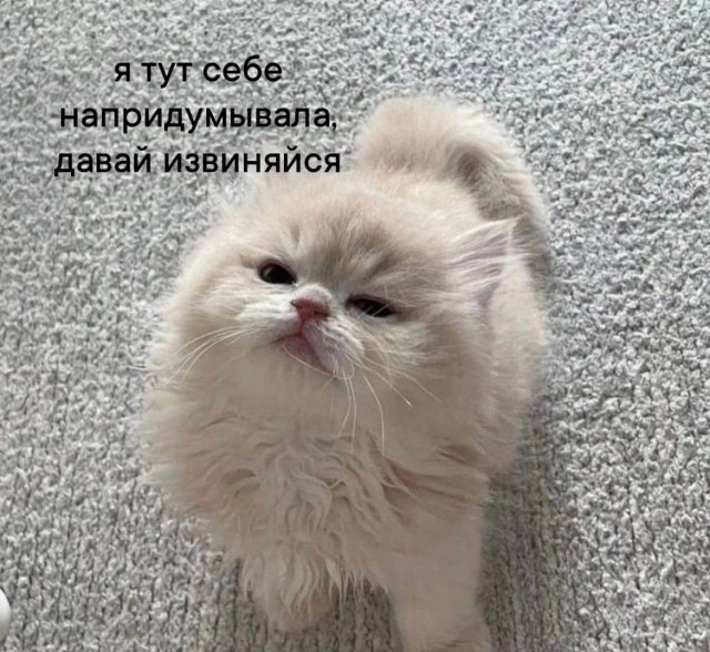 Весёлый полтишок 20.05.24