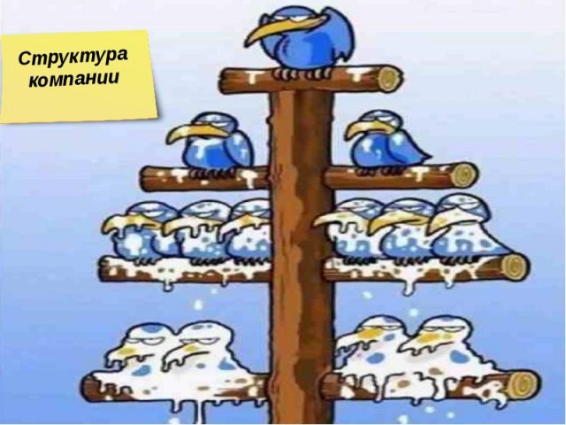 Вот так и живём
