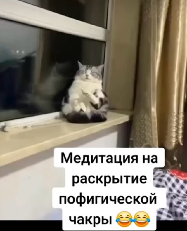 Прикольные и просто красивые картинки 06.09.2024