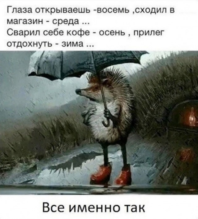 Так себе картинки 17.10.24