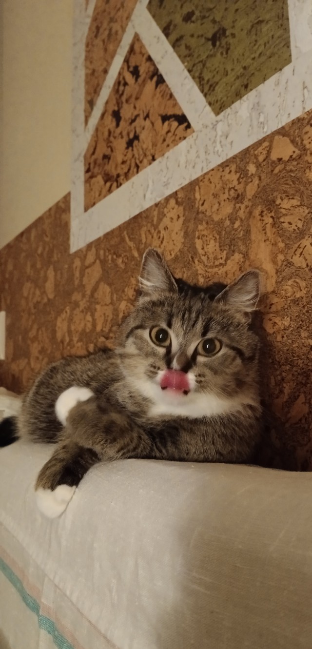 Пост накопления всякой милоты