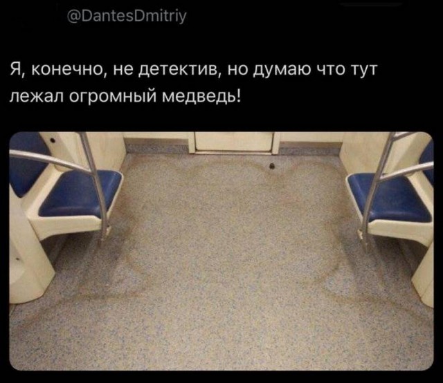 Котик улыбается картинки
