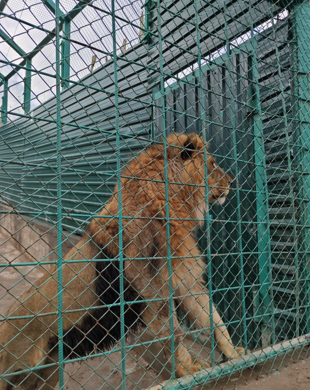 Красивое фото из телефона