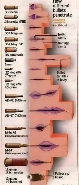 На иллюстрации показано, как различные типы пуль проникают и повреждают ткани человека.
