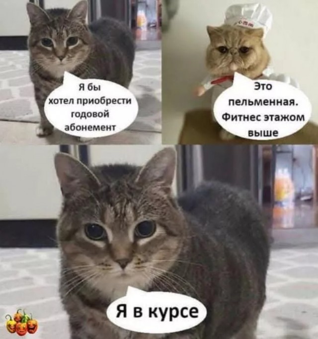 Завалялось тут случайно немного забавных картинок