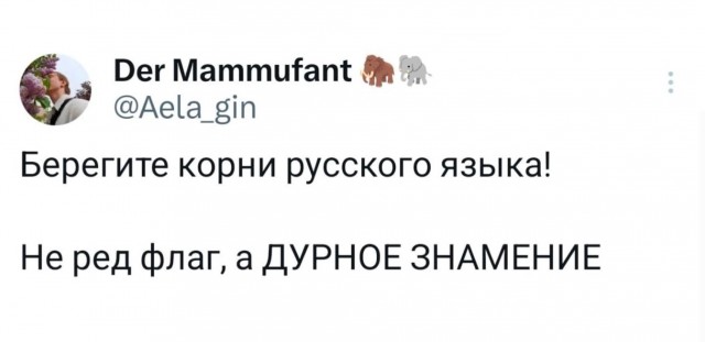 Так себе картинки 11.05.25