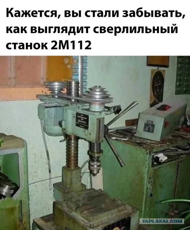 Весёлый полтишок 04.06.2025