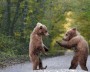 Аватары на заказ