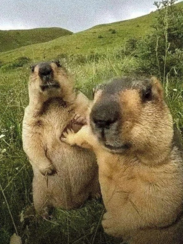Псто
