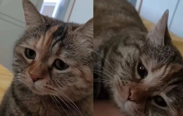 Мужчины, родившиеся летом, чаще страдают от депрессии, — показало исследование