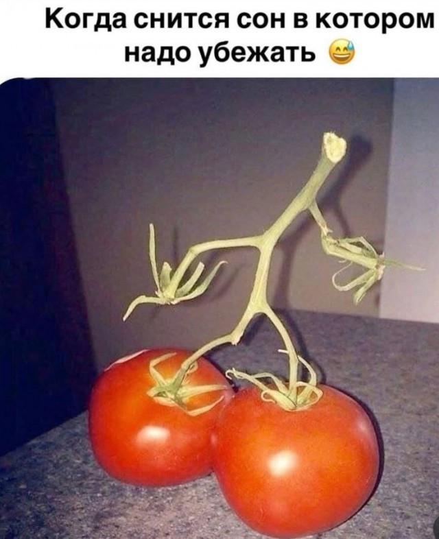 Картинки для деградации 61 (разной степени свежести)