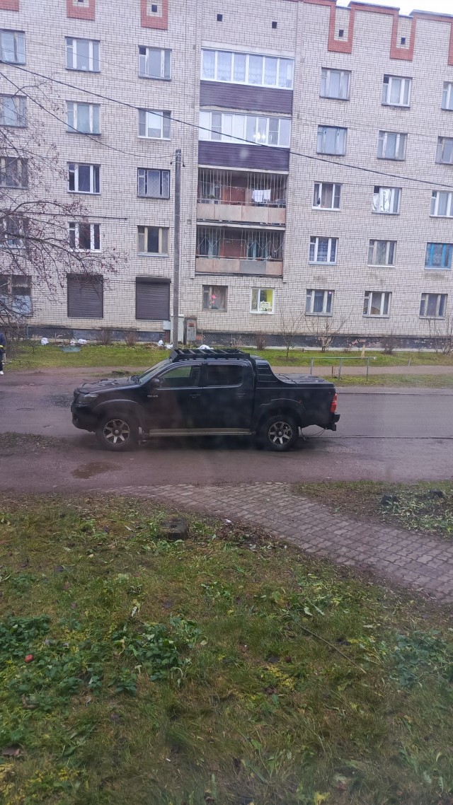 В Липецке расцвели декабрьские цветы.
