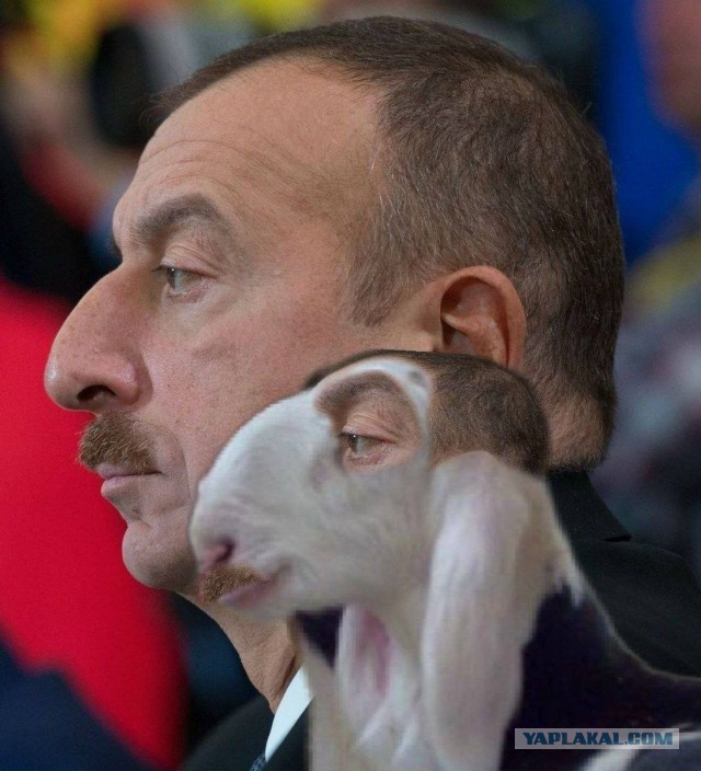 В Баку обвинили Иран в подготовке терактов в Азербайджане