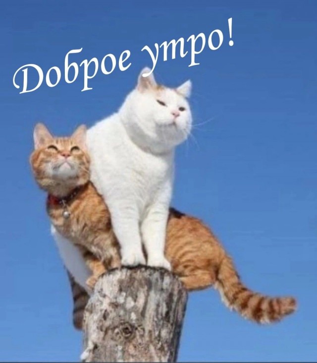 Прикольные и просто красивые картинки 13.03.2026