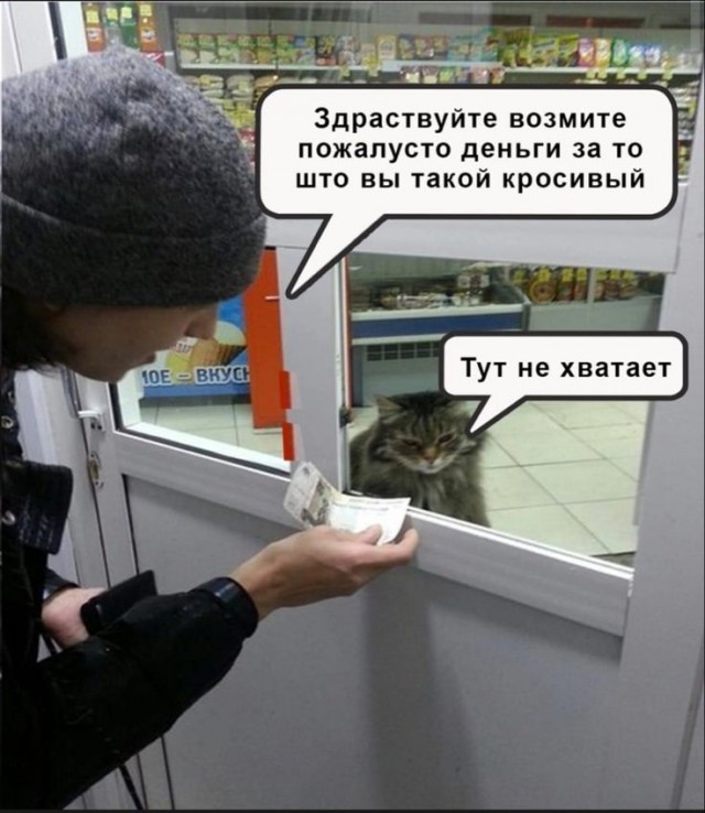 Котямбосы