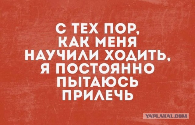 Картиночки, баянчики 28 марта