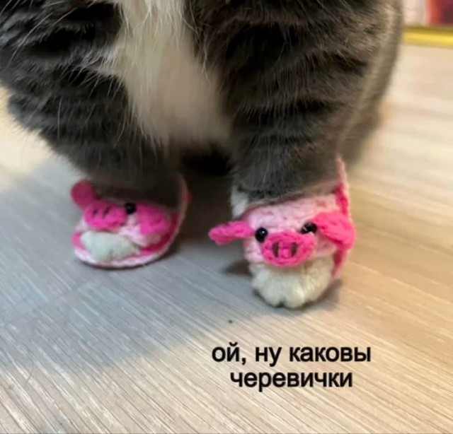 Воскресные картинки