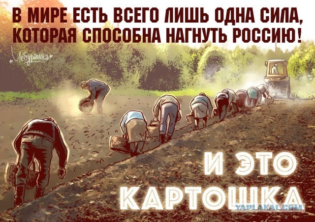 Русские встают на колени, только чтобы завязать шнурки, подмазал Фицо патриотической общественности