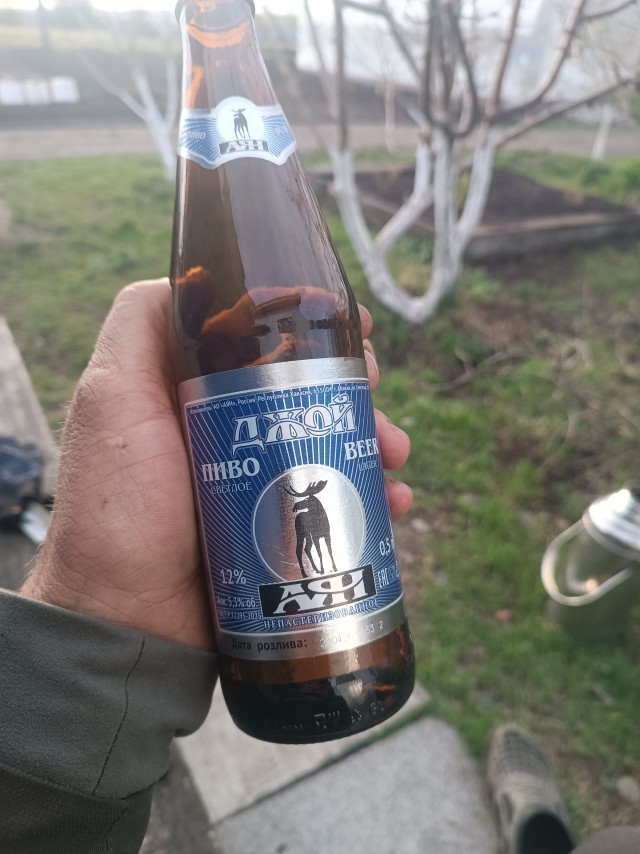 Танцуют все!