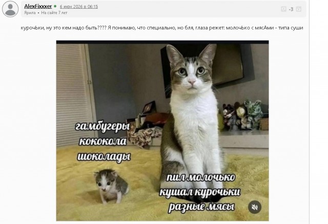 Картинки для деградации 216 (разной степени свежести)