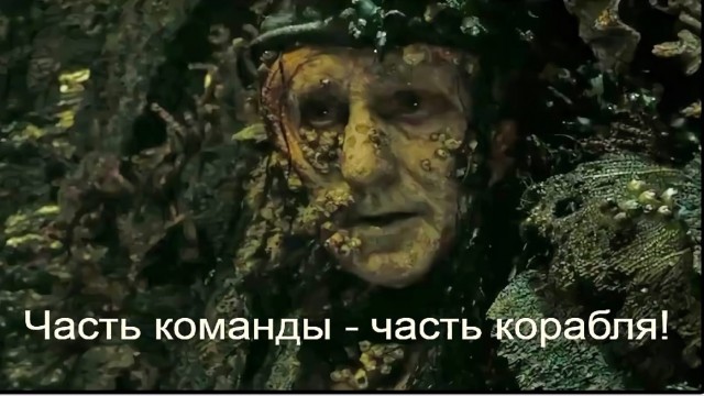 Природа победила: как деревья «пожирают» то, что создал человек