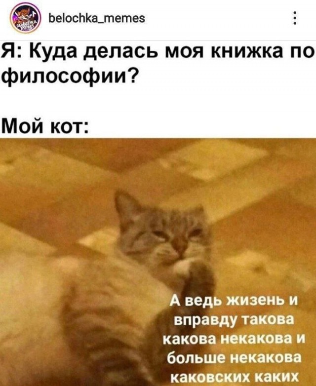 Картинки для деградации 265 (разной степени свежести)