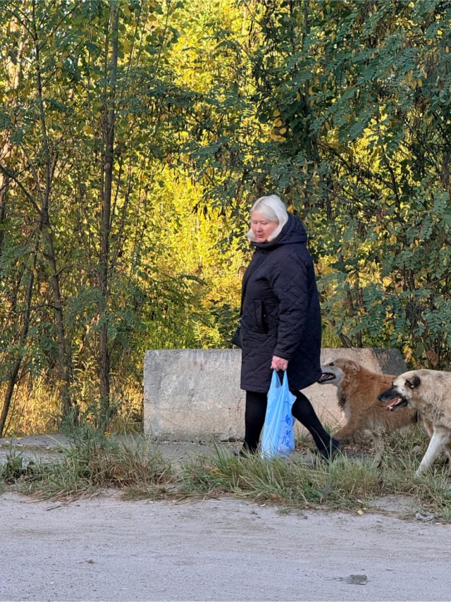 Кастрюлечтница