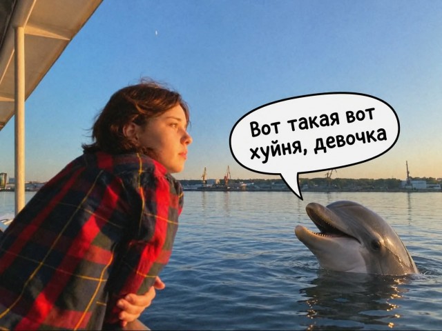 Дельфин и русалка