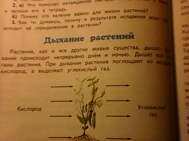 Задача для 2 класса